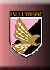Palermo Calcio